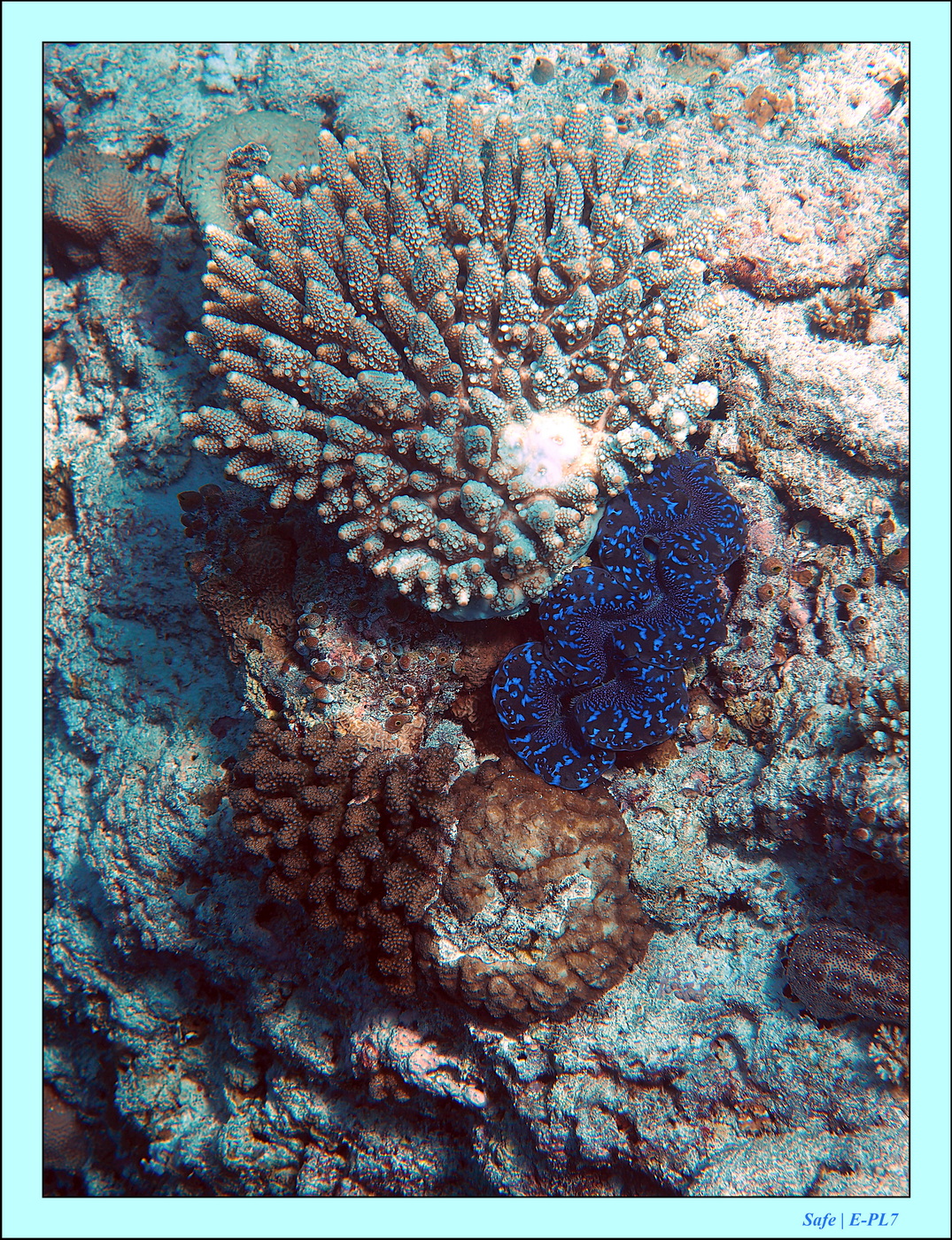 2023 - 07 - Sandies Bathala - 224